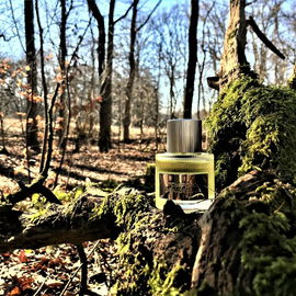 Heute mal im Grünen unterwegs gewesen 🌳