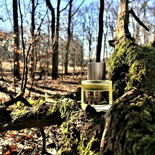 Beau de Jour (Eau de Parfum) by Tom Ford
