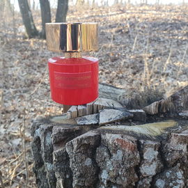 Oud Noir Intense - Fragrance Du Bois