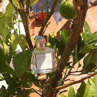 Aqua Universalis Forte von Maison Francis Kurkdjian