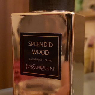 Splendid Wood by Yves Saint Laurent