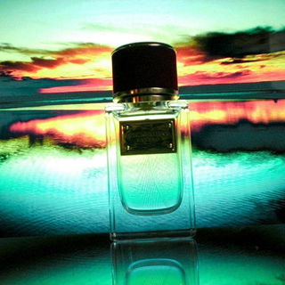 Velvet Desire by Dolce & Gabbana
