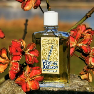 Leider nur ein Mini ;)