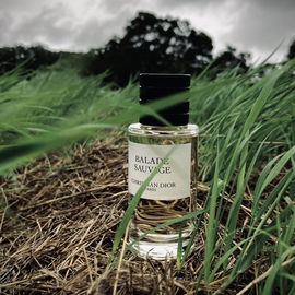 Balade Sauvage - Dior