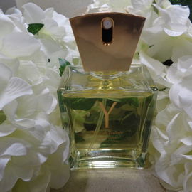 Y (1964) (Eau de Toilette) - Yves Saint Laurent