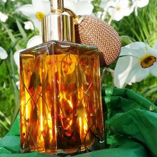 Narcissus Poeticus - Annette Neuffer