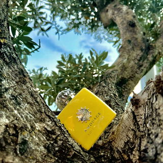 Love Mimosa von Amouage