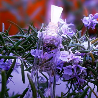 Léonard (1989) (Eau de Toilette) - Léonard