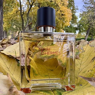 Terre d'Hermès (Parfum) by Hermès