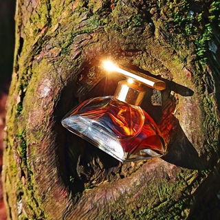 Spellbound (1991) (Eau de Parfum) - Estēe Lauder