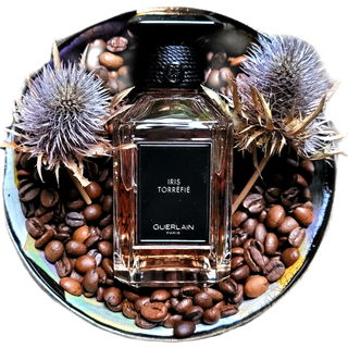Iris Torréfié von Guerlain