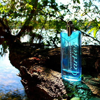 Déclaration L'Eau - Cartier