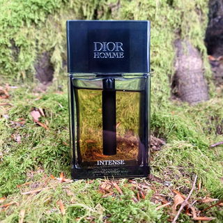 Dior Homme Intense (2011) by Dior
