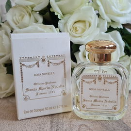 Rosa Novella - Santa Maria Novella