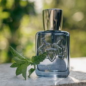 Der minzig-holzige Sedley im kleinen Flakon mit 75ml. (von Sash)