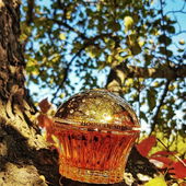 Goldener Herbst (von ChatonNoir)