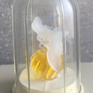 🕊🕊
