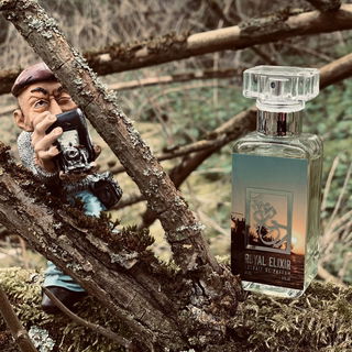 Royal Elixir by The Dua Brand