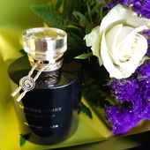 Like a Postcard (von Milathecat)