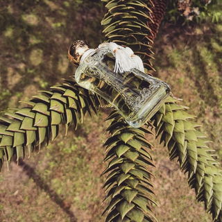 Meliora by Parfums de Marly