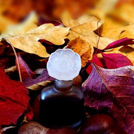 Youth-Dew (Perfume) - Estēe Lauder