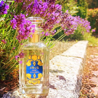 Iris des Champs (Eau de Parfum) - Houbigant
