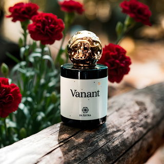 Vanant von In Astra