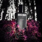 Witchcraft (von Anarlan)