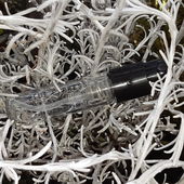 ...Silberblau... (by Kailani)