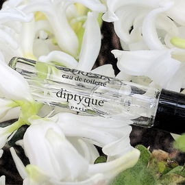 Ofrésia - Diptyque