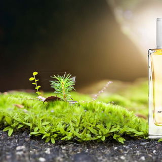 Oud Imperial (Extrait de Parfum) - Perris Monte Carlo