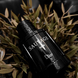 Sauvage Elixir von Dior