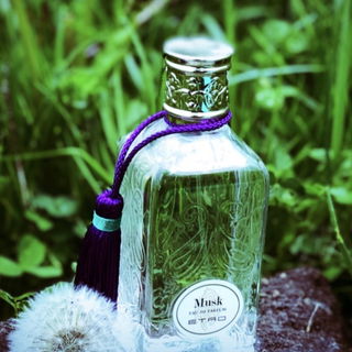Musk (Eau de Parfum) - Etro