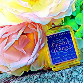 Encens d'Ange - Autour du Parfum