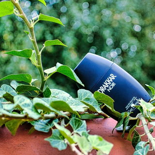 Drakkar Noir (Eau de Toilette)