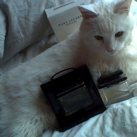 Marc Jacobs (Eau de Parfum) - Marc Jacobs