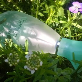 Chanson d'Eau - Coty