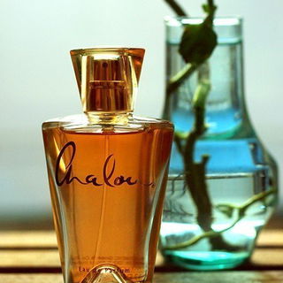 Chalou (Gold) by Lidl