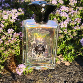 Portrayal Man von Amouage