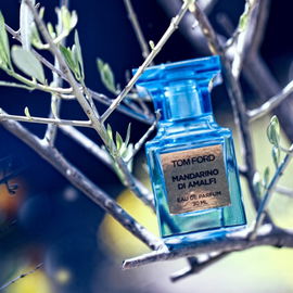 Mandarino di Amalfi (Eau de Parfum) - Tom Ford