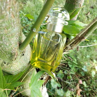 Le Jardin de Monsieur Li by Hermès