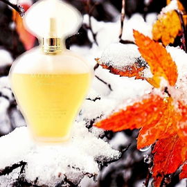 Winter Moments