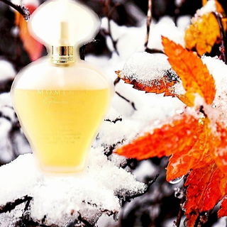 Winter Moments
