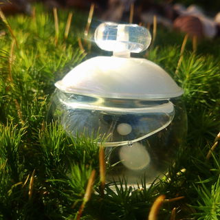Kenzo Homme (Eau de Toilette Marine) - Kenzo