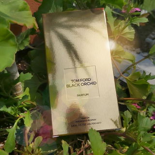 Black Orchid Parfum by Tom Ford