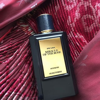 Miracle of the Rose by Prada