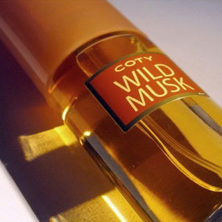 Wild Musk - Coty