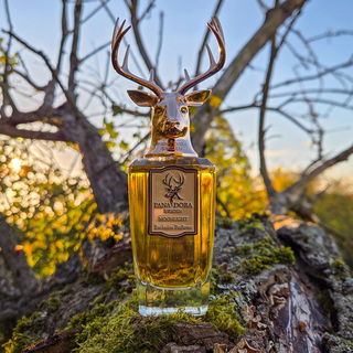 City of Stars - Louis Vuitton