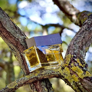 Exterieur Nuit von ID Parfums