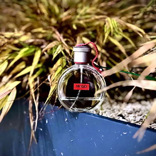…📷🌍 Thank you. Danke schön. Merci beaucoup. Muchas gracias. Dōmo arigatō gozaimasu 💐…